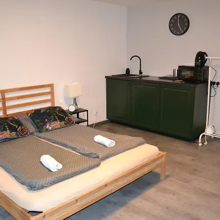 Apartment Silesia